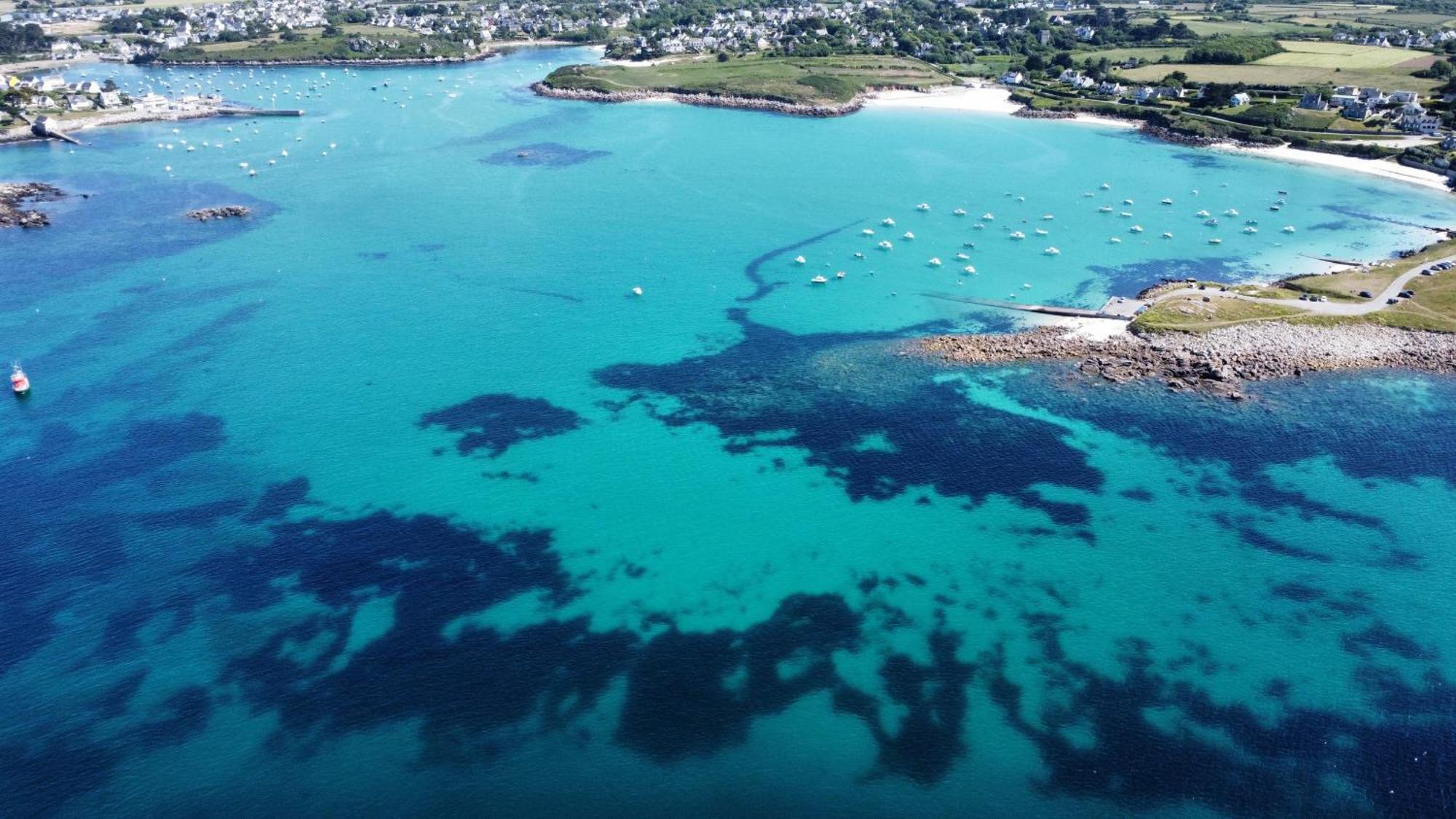 Roscaroc Enez Hir - Charmant T4 Proche Plage Ploudalmezeau ภายนอก รูปภาพ